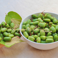 Актинидия ("УРАЛЬСКОЕ КИВИ") ДОКТОР ШИМАНОВСКИЙ (САМОПЛОДНЫЙ, В ОПЫЛИТЕЛЕ НЕ НУЖДАЕТСЯ) Актинидия ("УРАЛЬСКОЕ КИВИ") ДОКТОР ШИМАНОВСКИЙ (САМОПЛОДНЫЙ, В ОПЫЛИТЕЛЕ НЕ НУЖДАЕТСЯ)